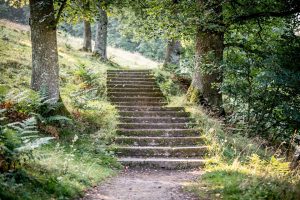 Treppen in Grasellenbach – Treppenbau
