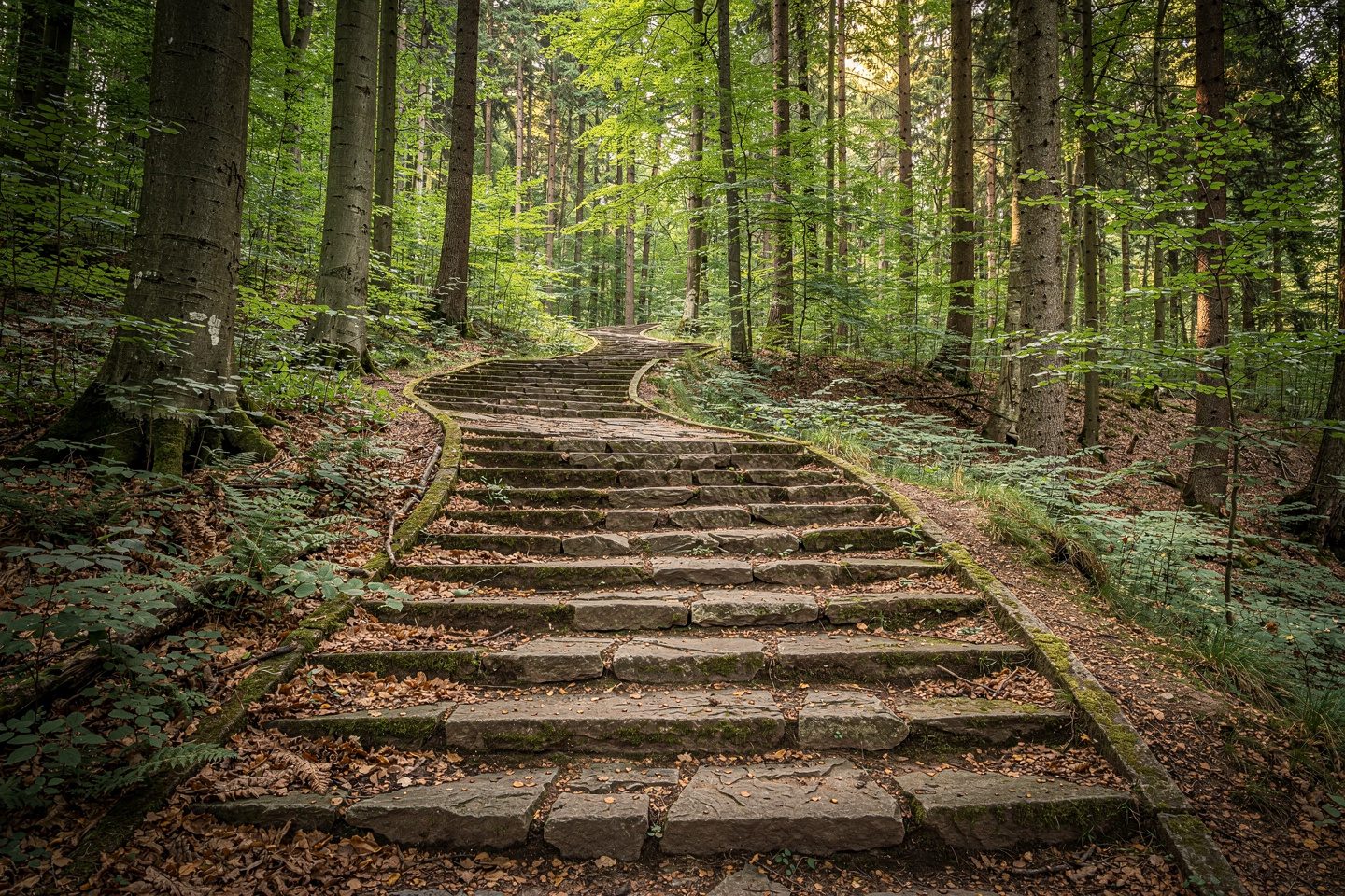 Treppen in Odenwald – Treppenbau