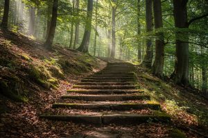 Treppen in Odenwald – Treppenbau