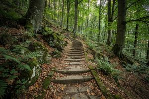 Treppen in Odenwald – Treppenbau