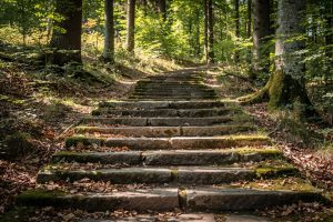 Treppen in Waldbrunn – Treppenbau