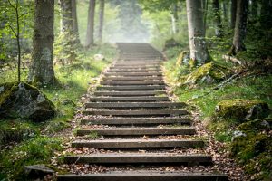 Treppen in Waldbrunn – Treppenbau